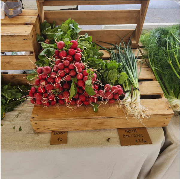 Fresh radishes at the Farmers Market