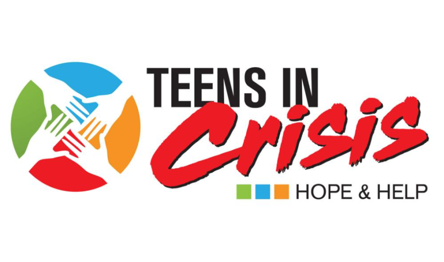 Teens+in+Crisis+series+cover